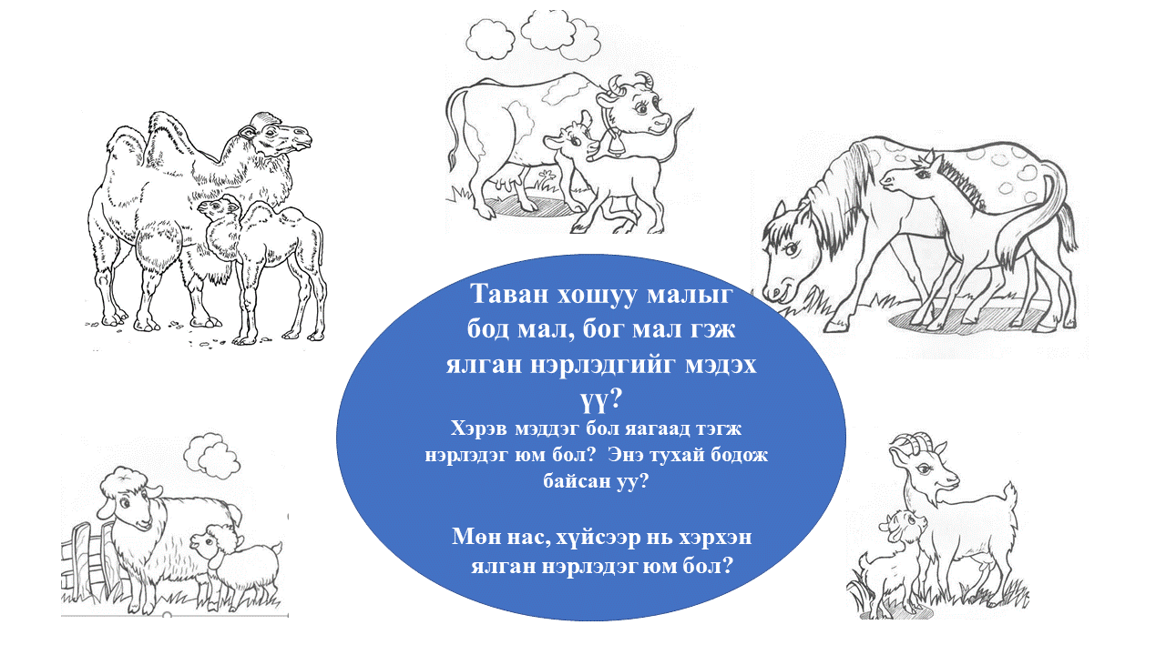 Мэдлээ | Цахим контент